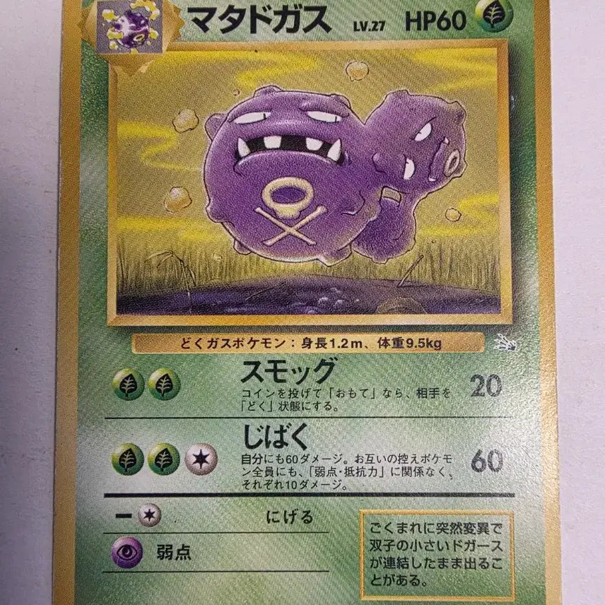 [BUNJANG] Pokemon Card Gastly 1996 Early / 포켓몬카드 1996 초기 또가스