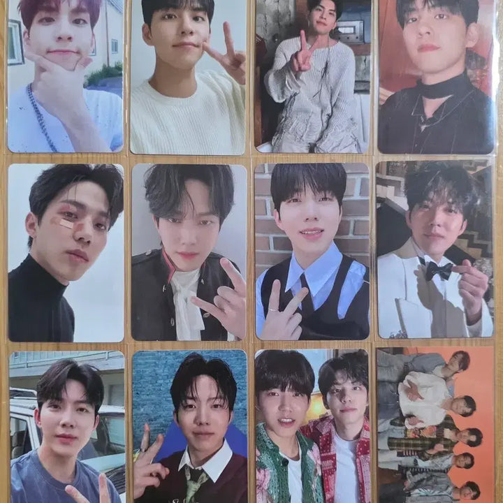 [BUNJANG] DAY6 Young K Dowoon Wonpil Bundle Set Photocard / 데이식스 원필 도운 포카 포토카드