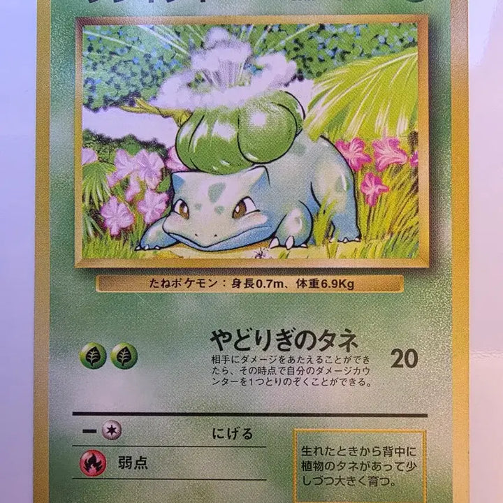 [BUNJANG] Pokemon Card 1996 Bulbasaur / 포켓몬카드 1996 초기 이상해씨