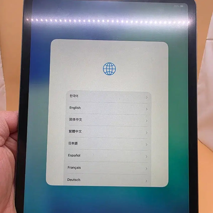[BUNJANG] Apple iPad Pro 11-inch (1st Gen) 64GB Wi-Fi / S급 아이패드 프로11 1세대 64기가
