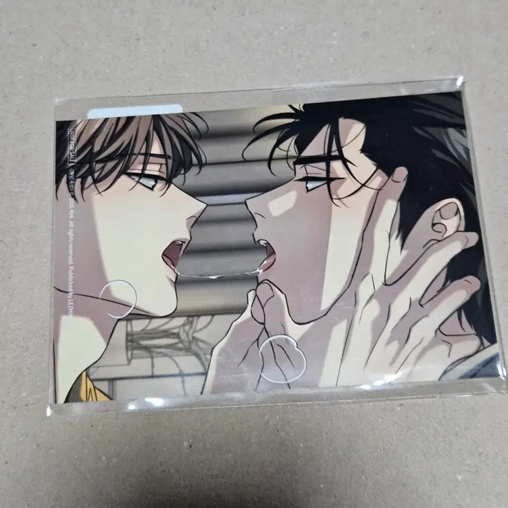 [BUNJANG] Sparkles Seongsu Pop-up 5th Special Skinship Photo / 스파클즈 성수 팝업 5특 스킨십 인화사진 해빙곡선
