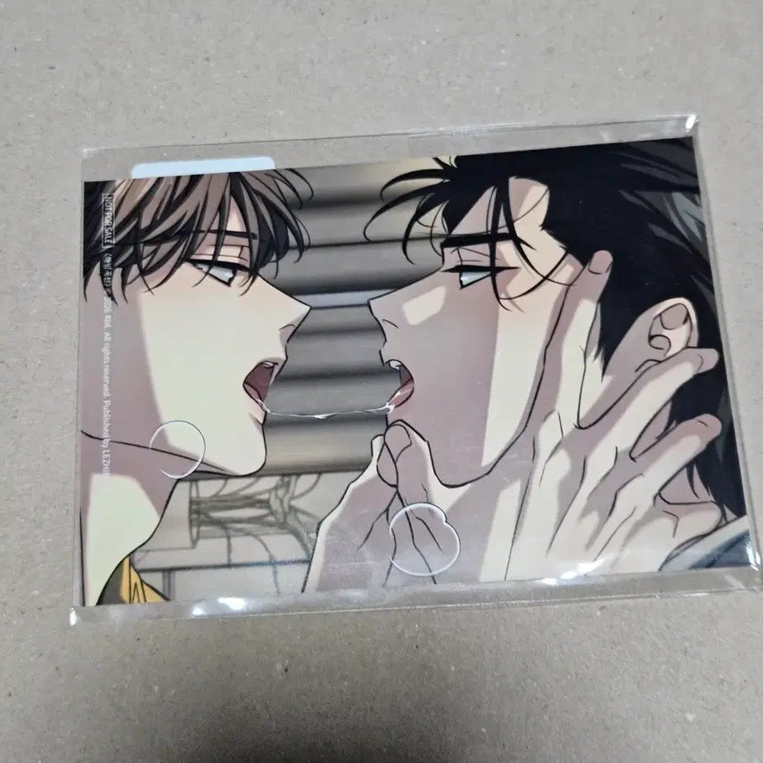 [BUNJANG] Sparkles Seongsu Pop-up 5th Special Skinship Photo / 스파클즈 성수 팝업 5특 스킨십 인화사진 해빙곡선