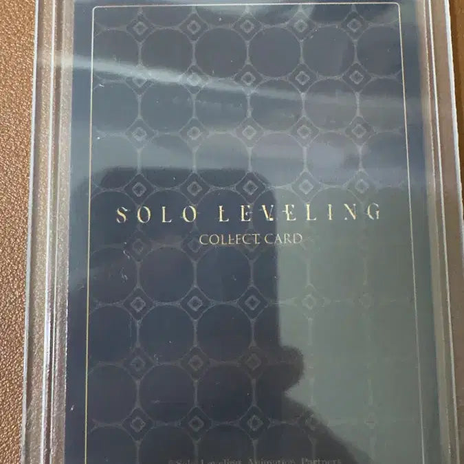 [BUNJANG] Solo Leveling Baek Yoon-ho UR Card / 나혼자만레벨업 카드 백윤호 UR 판매