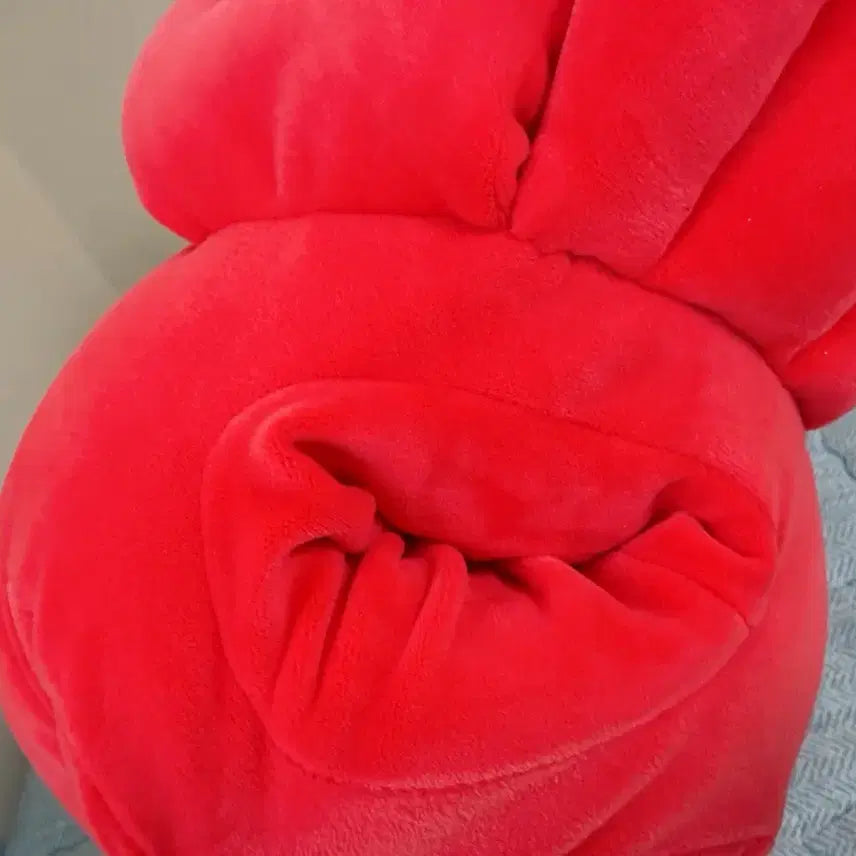 [BUNJANG] Crab Plush Toy Bundle Set / 꽃게 인형 두개 일괄
