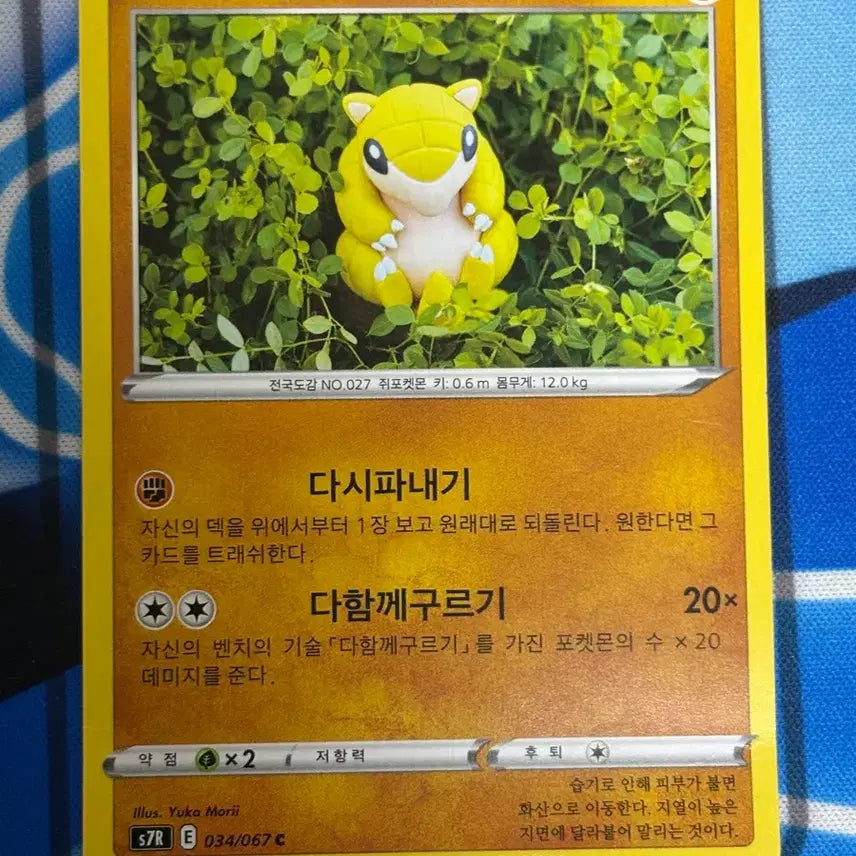 [BUNJANG] Cute Pokemon Card Sandshrew Illustration Card / [귀여운 포켓몬카드] 모래두지 실물 일러