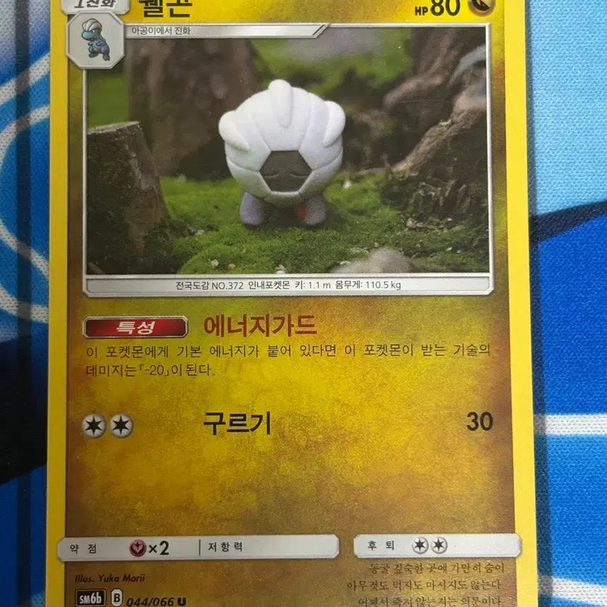 [BUNJANG] Pokemon Card Shelgon Illustration / [귀여운 포켓몬카드] 쉘곤 실물 일러