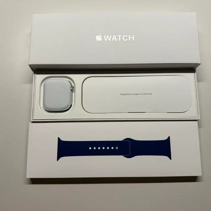 [BUNJANG] Apple Watch Series 10 46mm Silver GPS (Battery Health 100%) / 애플워치 10 46mm 실버 GPS(배터리 성능 100%) 풀박스