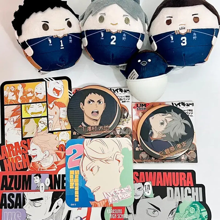 [BUNJANG] Haikyuu!! Karasuno 3rd Year Set (Daichi, Suga, Asahi) / 하이큐 카라스노 3학년 세트 다이치 스가 아사히