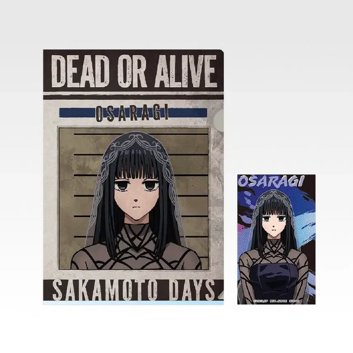 [BUNJANG] Sakamoto H Prize Clear File &amp; Sticker Set (Osaragi) / 사카모토 H상 오사라기 클리어파일&amp;스티커세트