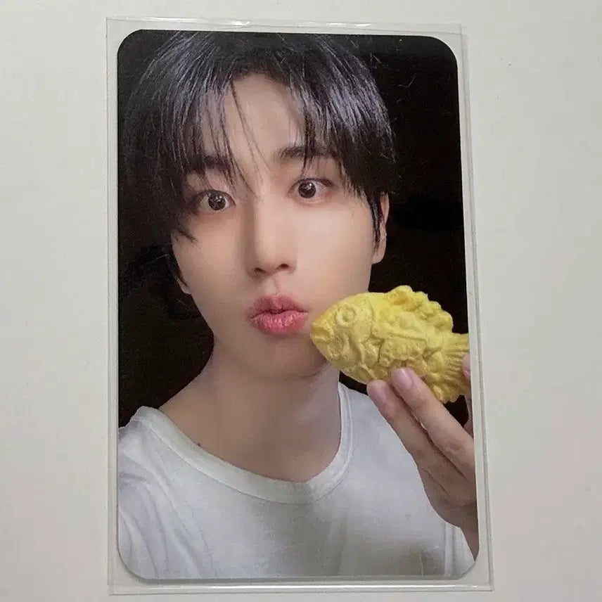 [BUNJANG] Stray Kids (HOP) Soundwave Lucky Draw Jisung Photocard / 스트레이키즈 합 (HOP) 사운드웨이브 럭드 붕어빵 한지성