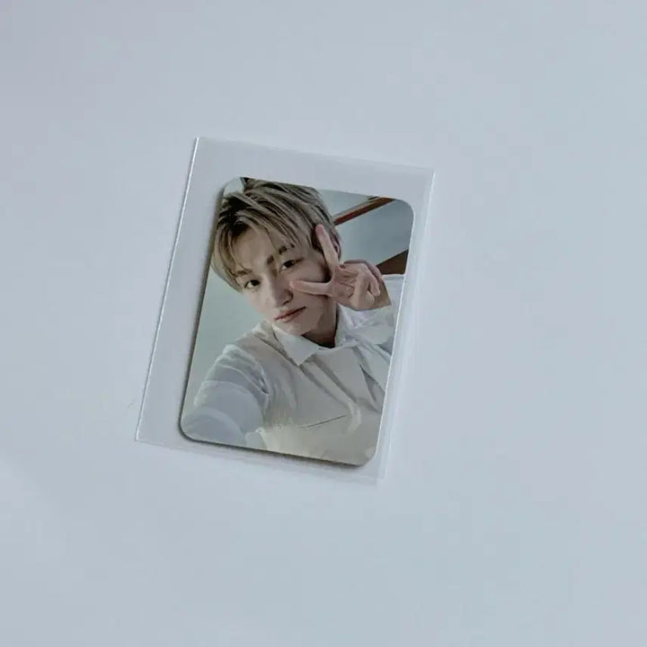 [BUNJANG] TWS Jihoon Japan Tower Records Mini Photocard / 투어스 지훈 일본 타워레코드 미니 포카