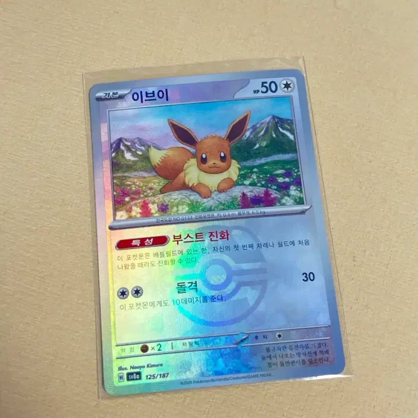 [BUNJANG] Pokemon Card Eevee Master Ball / 포켓몬카드 이브이 마스터볼