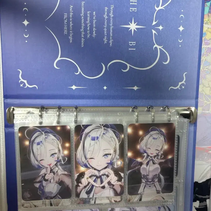 [BUNJANG] Hebi Binder + Full Set Collection Photocards / 헤비 hebi 바인더 + 모든 포카,띠부실 판매합니다.