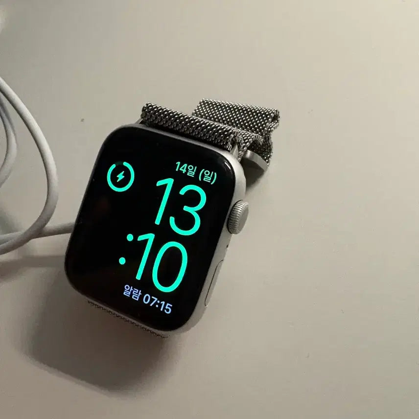 [BUNJANG] Apple Watch SE 1st Gen Silver 44mm with Mesh Strap / 애플워치 실버 44m se1