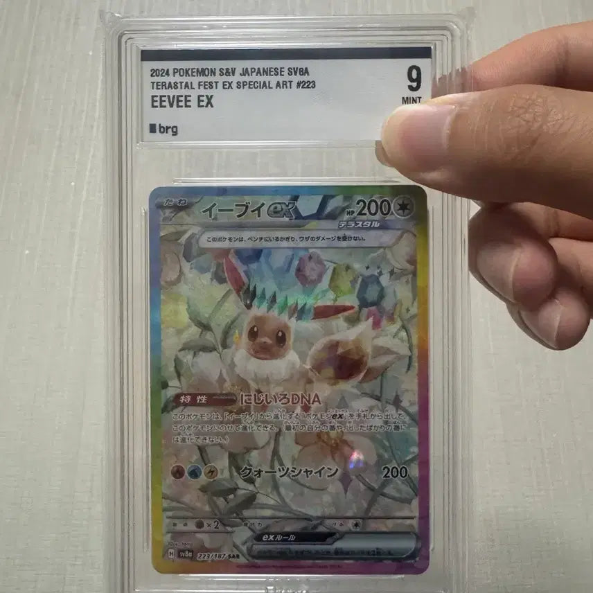 [BUNJANG] Pokemon Card 2024 Eevee EX Terastal Fest Special Art 