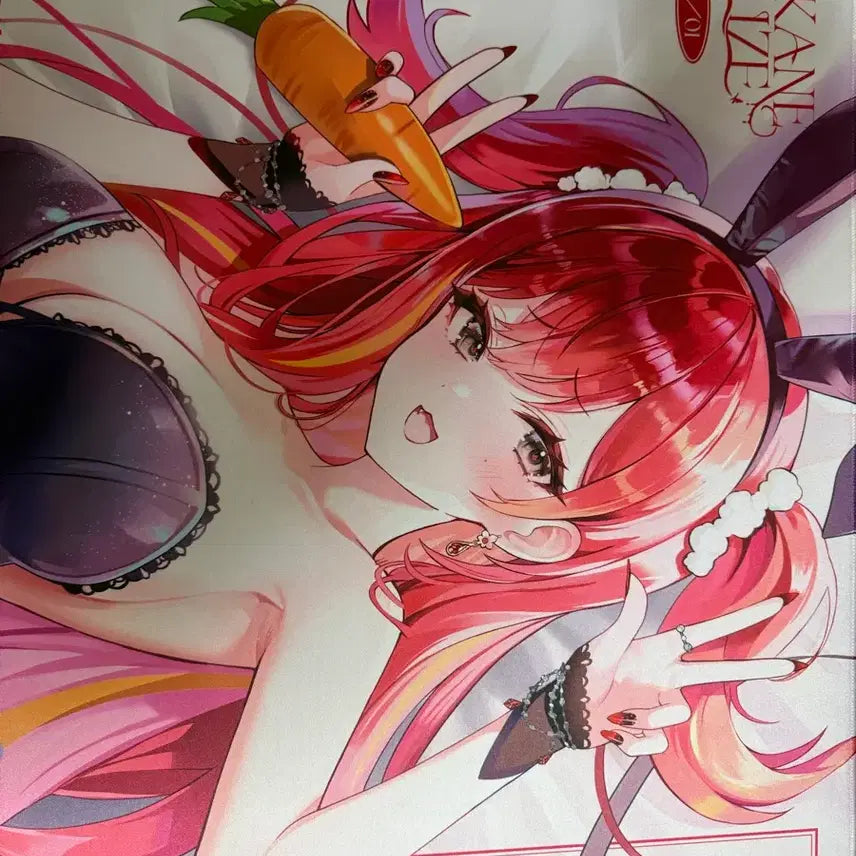 [BUNJANG] Rize 2025 Birthday Dakimakura &amp; Large Mousepad Set / 리제 생일 굿즈