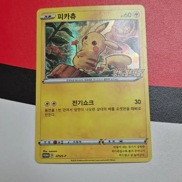 [BUNJANG] Pokemon Pikachu Promo Angcheon&