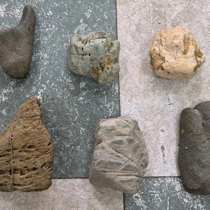 [BUNJANG] Collection of 19 Scholar Stones / 수석 괴석, 평원석, 문양석, 수반석, 좌대석 등 19점