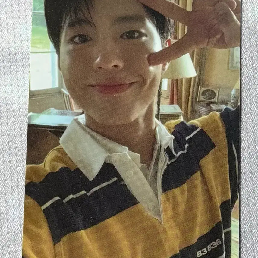 [BUNJANG] Park Bo Gum 2024 Season&