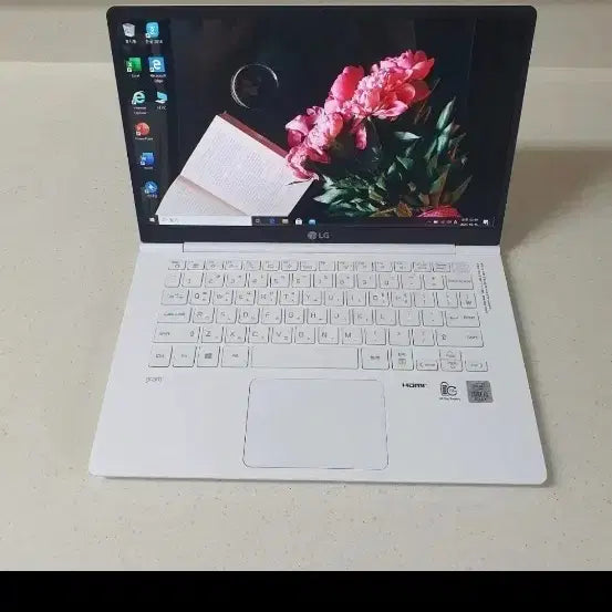 [BUNJANG] LG Gram 14" Laptop i5 10th Gen (14ZB995-GPLGL) / A급 LG 그램 노트북 i5 14인치 팝니다.