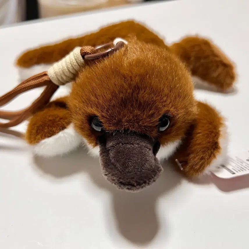 [BUNJANG] Platypus Plush Keychain Doll / 새상품) 오리너구리 인형 키링