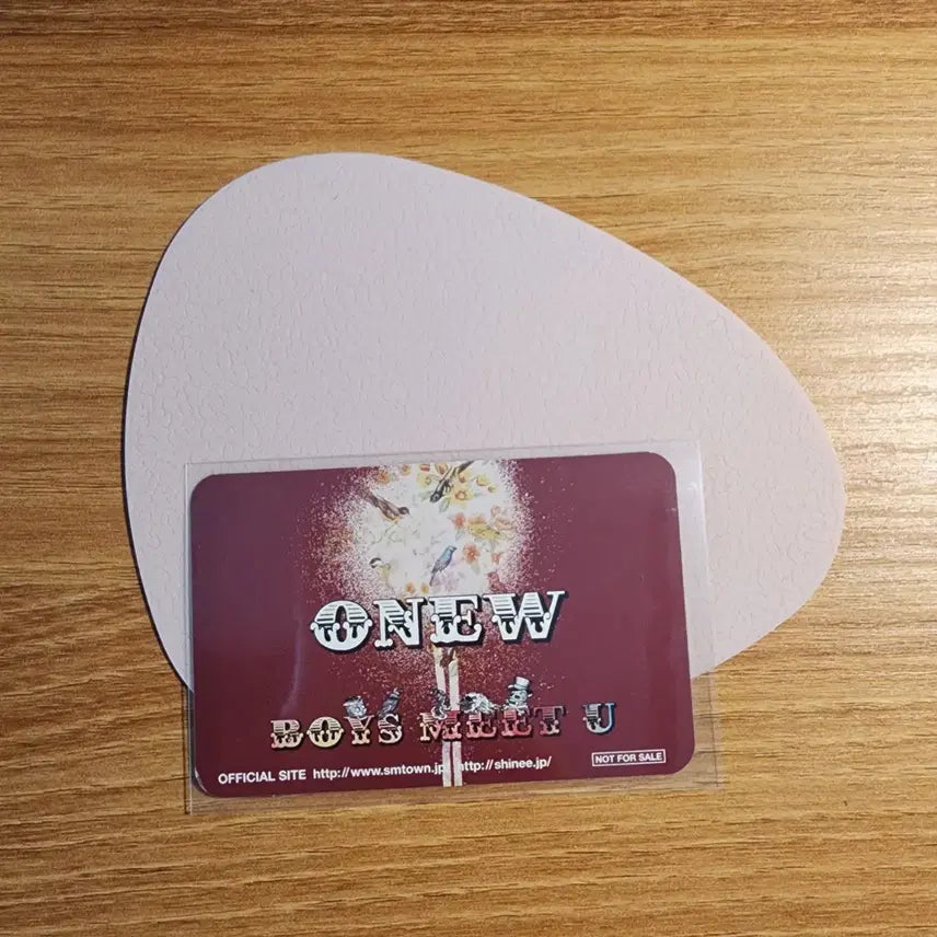 [BUNJANG] SHINee Onew 1st Album Photocard / 샤이니 온유 일앨 포카