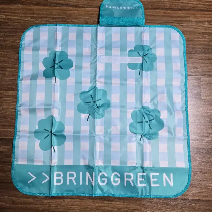 [BUNJANG] Bring Green Picnic Mat - Mint / 브링그린 피크닉 매트 _ 민트