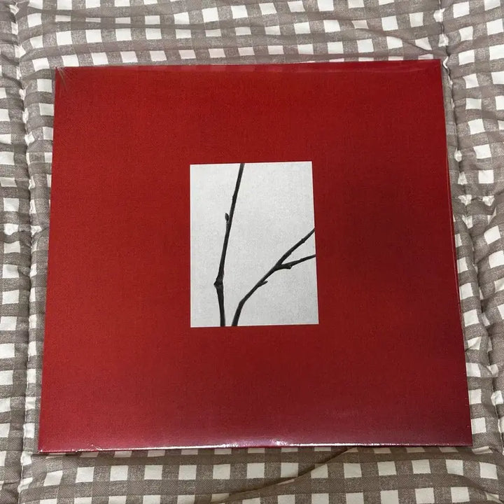 [BUNJANG] Choi Yuryi Murumeu Hana LP (Sealed) / [미개봉] 최유리 머무름 하나 lp