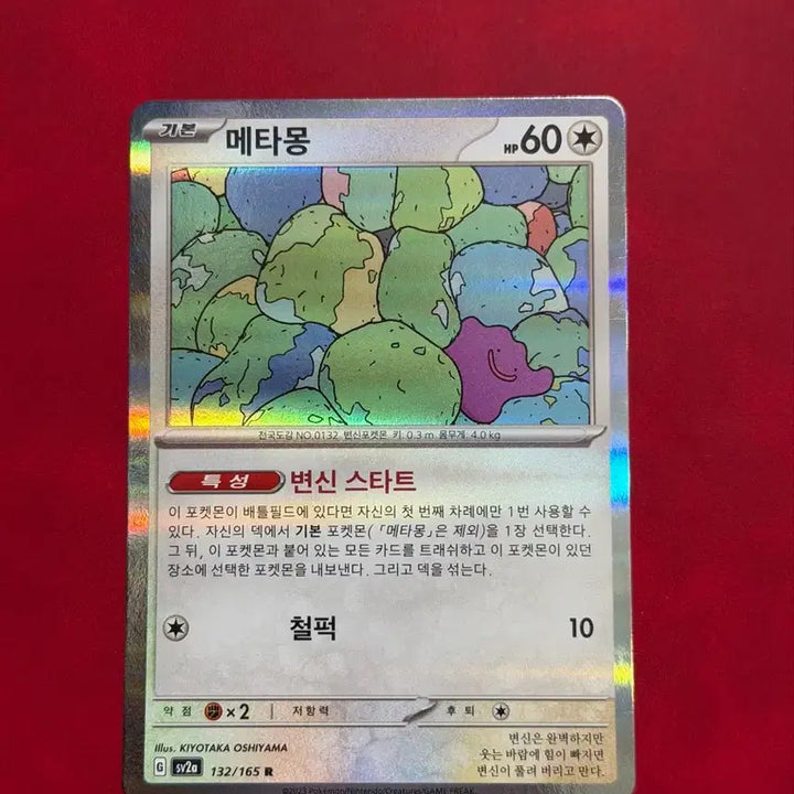 [BUNJANG] Pokemon Card 151 Metamon, Mewtwo Bundle Set / 귀여운 포켓몬 홀로 카드 151 메타몽, 뮤츠 2장 일괄