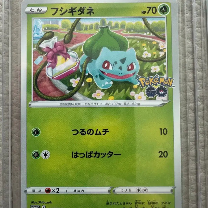 [BUNJANG] Pokemon TCG Promotional Cards - Bulbasaur, Squirtle, Charmander Bundle Set / 포켓몬고 프로모 카드