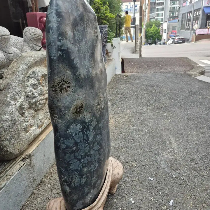 [BUNJANG] Cheongsong Flower Stone - Eternal Prosperity and Wealth / 영원히 시들지않는 부귀영화 청송꽃돌 (소장품)