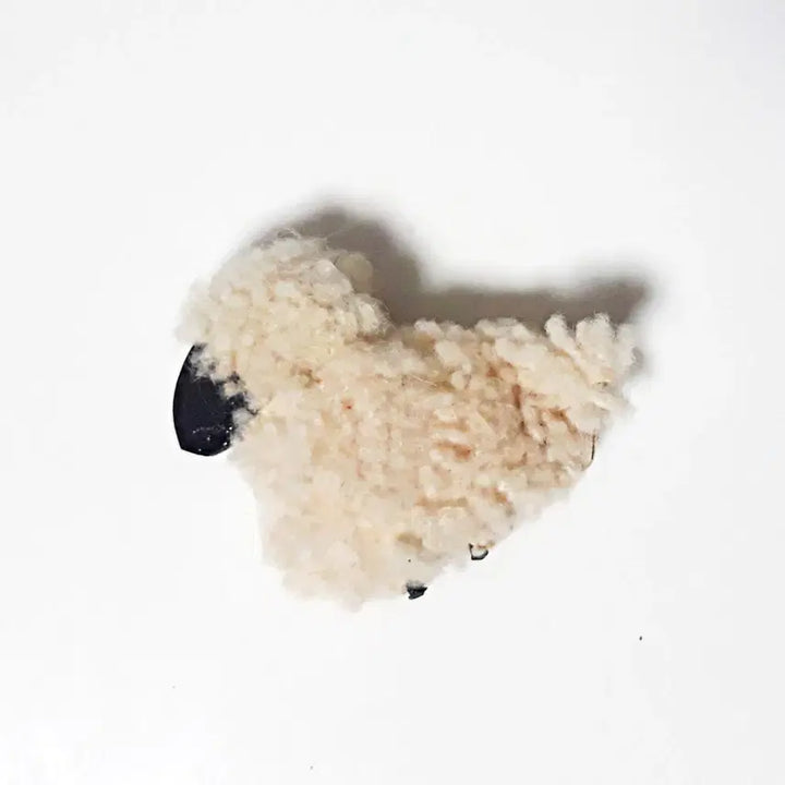 [BUNJANG] Set of 5 Wool Sheep Figurines / [5개세트] 양 가족