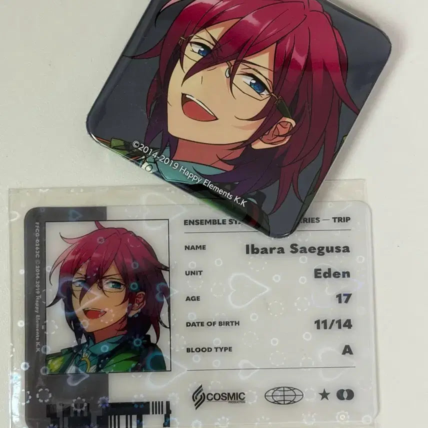 [BUNJANG] Eden Trip Saegusa Ibara Badge ID Card Set / 에덴 트립 사에구사 이바라 뱃지 아이디카드
