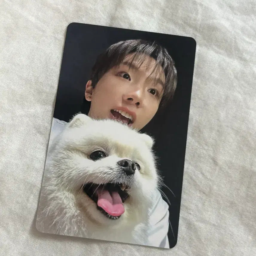 [BUNJANG] BOYNEXTDOOR Home Weverse POB Yunhak Photocard / 보넥도 홈 위버스 특전 운학포카 양도
