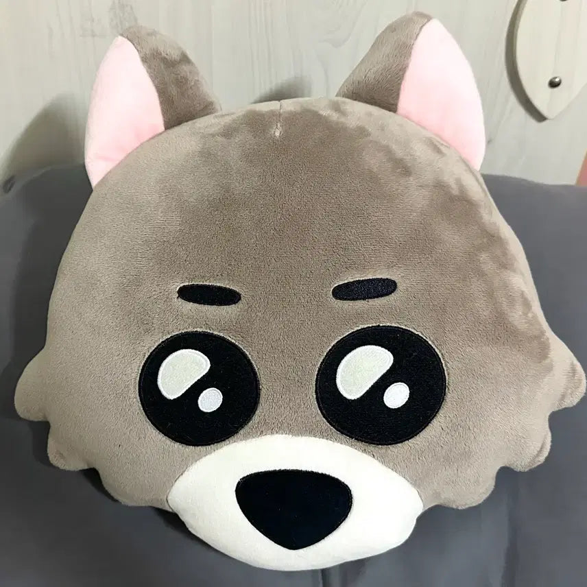 [BUNJANG] Boynextdoor Myung Jaehyun Concert Cushion / 명명이 쿠션 양도 보이넥스트도어 보넥도 명재현 쁘넥도 콘서트