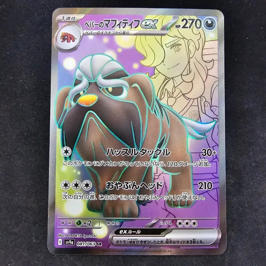 [BUNJANG] Pokemon Card Japanese Hob&
