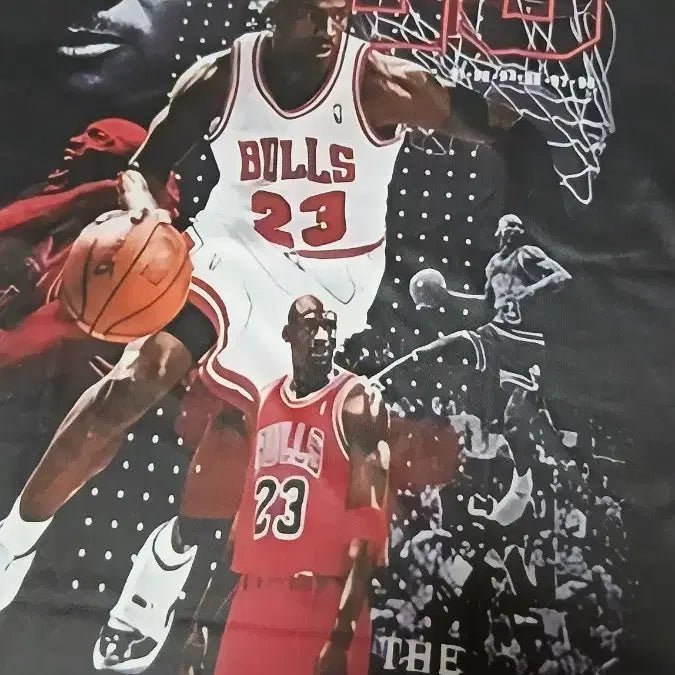[BUNJANG] Michael Jordan Dri-FIT Poly Short Sleeve T-Shirt (Size L) / (새제품) 마이클조던 드라이핏 폴리 반팔 L