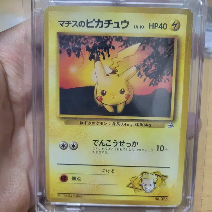[BUNJANG] Pokemon Card Matisse&