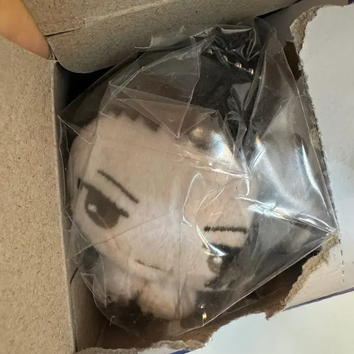 [BUNJANG] Jujutsu Kaisen Suguru Geto Hug Character Plush / 주술회전 게토 스구루 허그캬라