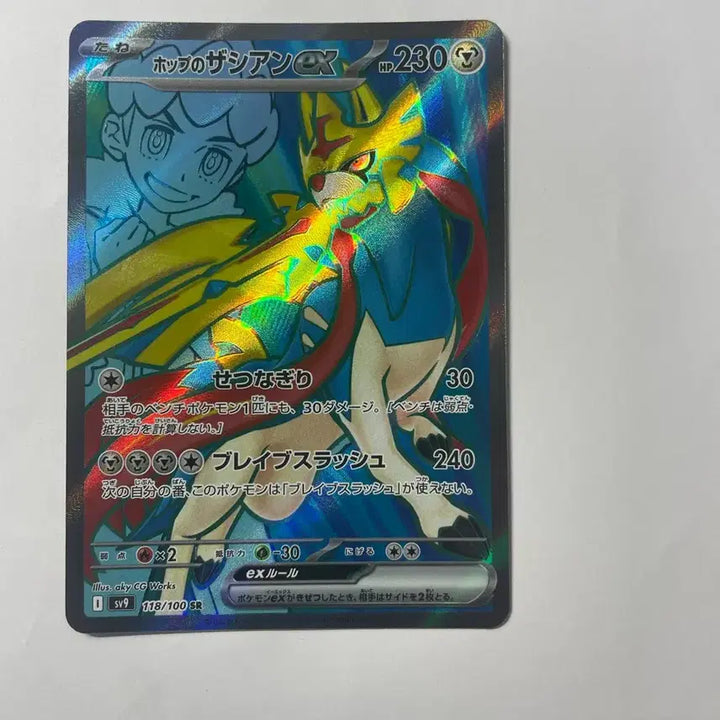 [BUNJANG] Pokemon Card Hob&