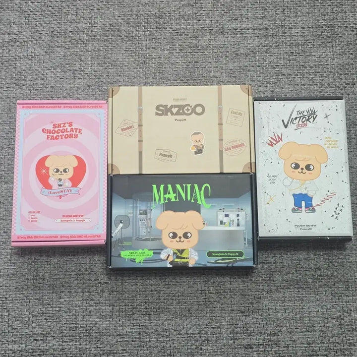[BUNJANG] Skinnyju Perfim Outfit Bundle Set / (일괄)스키주 퍼핌 아웃핏