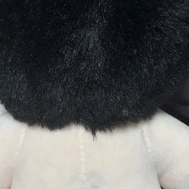 [BUNJANG] Limbus Company Roland 25cm Cotton Doll / 급전)라오루 롤랑 25cm솜깅 팝니다