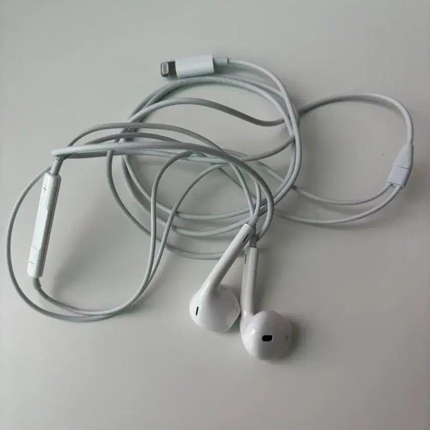 [BUNJANG] Apple Genuine Lightning EarPods Earphones / 애플 정품 라이트닝 이어팟 이어폰