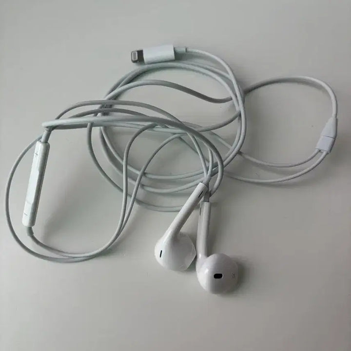 [BUNJANG] Apple Genuine Lightning EarPods Earphones / 애플 정품 라이트닝 이어팟 이어폰