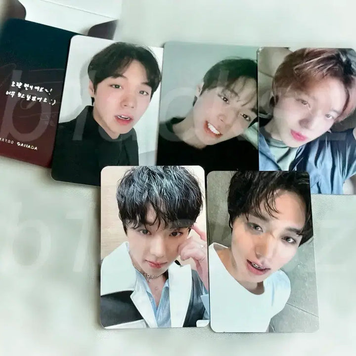 [BUNJANG] Park Jihoon 2022 Thailand Fan Meeting Photocard Bundle Set / 박지훈 2022 태국 팬미팅 포카세트 일괄 양도