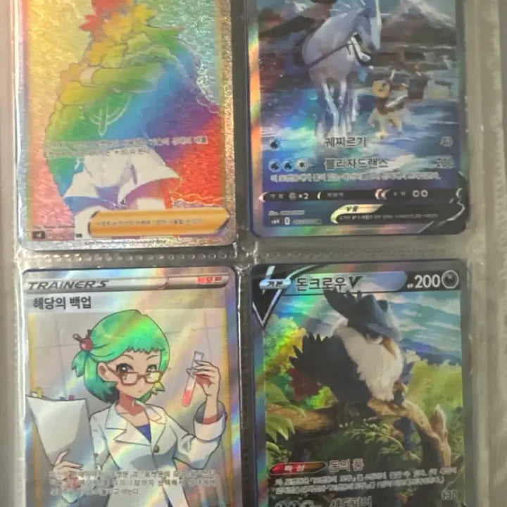 [BUNJANG] Pokemon Card Bundle / 포켓몬 앨범 통채 (고대카드+요즘카드)