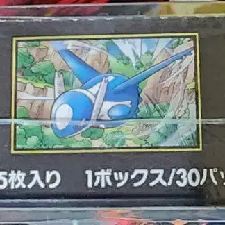 [BUNJANG] Japanese Mega Symphony Pokemon Box (Sealed) / 일판 메가 심포니아 포켓몬 박스 팝니다