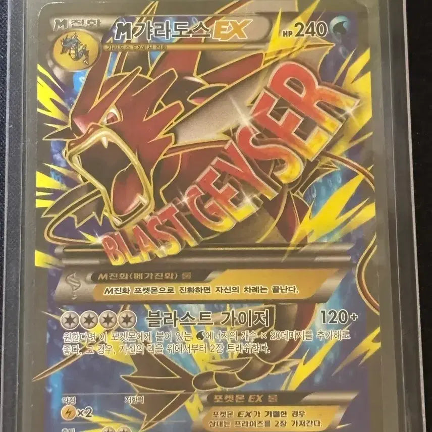 [BUNJANG] Pokemon Gyarados EX SR (2 Types) Bundle Set / 포켓몬 M갸라도스EX SR 갸라도스EX 2종 일괄판매