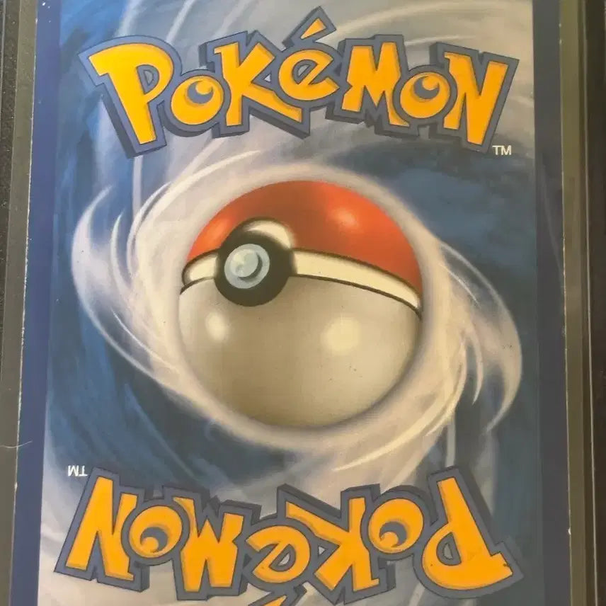 [BUNJANG] Pokemon Gyarados EX SR (2 Types) Bundle Set / 포켓몬 M갸라도스EX SR 갸라도스EX 2종 일괄판매