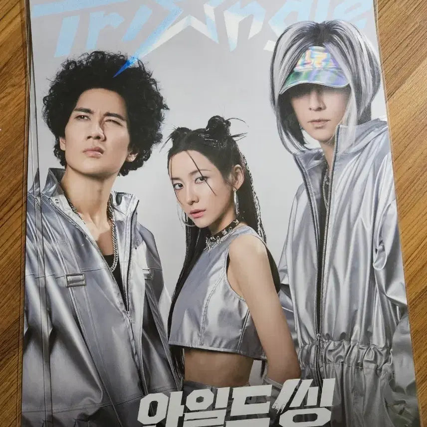 [BUNJANG] Wild Things Triangle Vol. 2 A3 Poster / 영화 와일드씽 트라이앵글 2집 A3 포스터